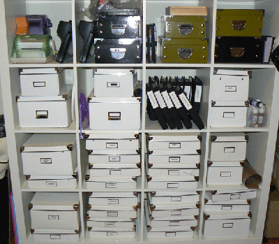 Organising Shelves