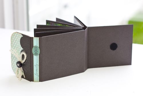 Mini Fold Book