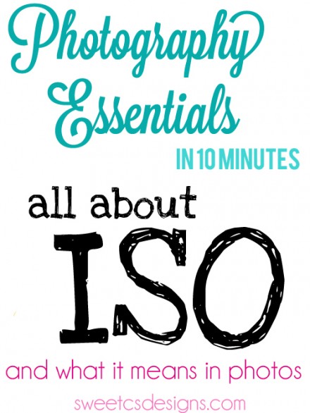 Photography Tutorial from Sweet CS Designs - All About ISO