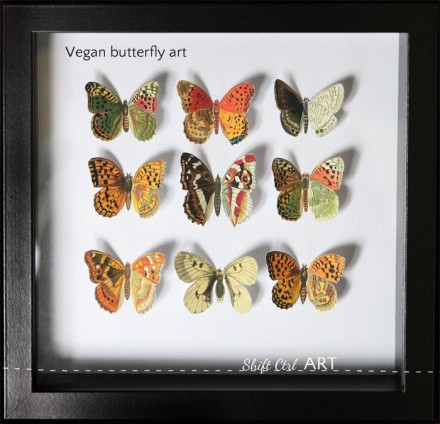 Vegan-butterfly-framed-art-paper-craft