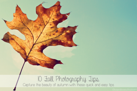 10 Fall Photography Tips by Live and Love Out Loud