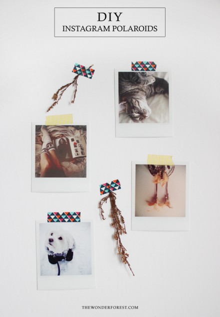 Tutorial - DIY Instagram Polaroids by Wonder Forest