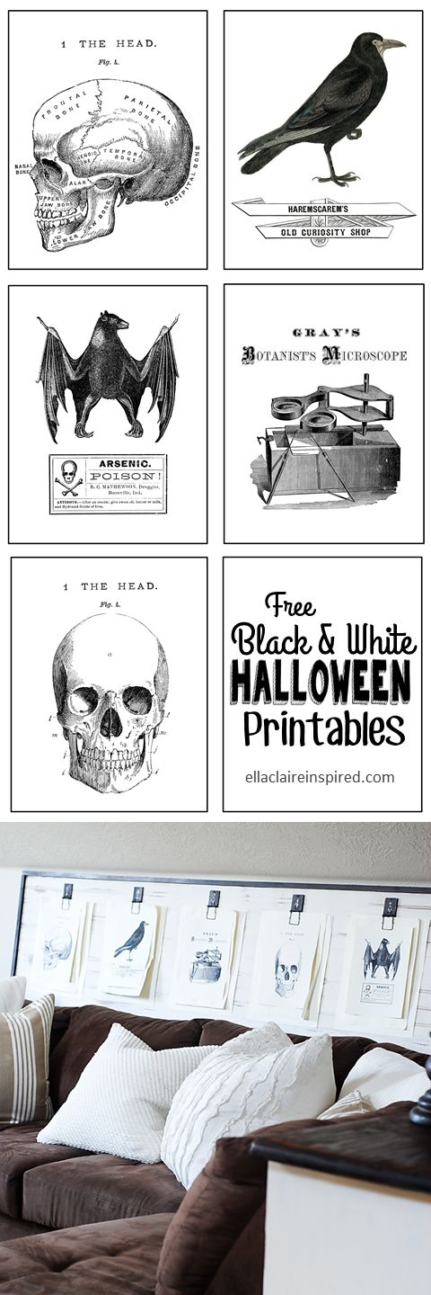 Free Black and White Halloween Posters