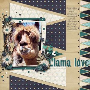 Llama Layout Download and Inspirations – Scrap Booking