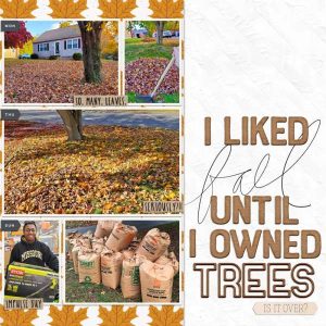 10 Layout Ideas for Fall Leaves – Scrap Booking