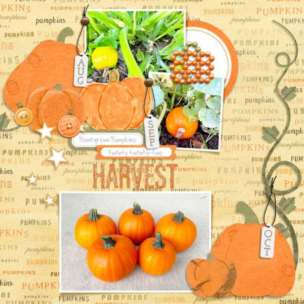 12 Autumn Scrapbook Layout Ideas Featuring Pumpkins